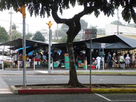 Hilo Farmer's market